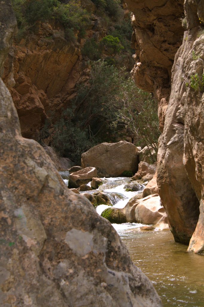 Peaceful river flowing through a rocky canyon with lush greenery.